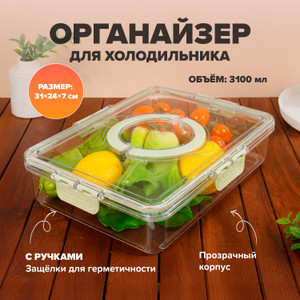 Органайзер для холодильника с ручками, O'Kitchen, 31х24х7 см