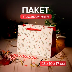 Пакет подарочный, Party, 23х17х10 см, в ассортименте