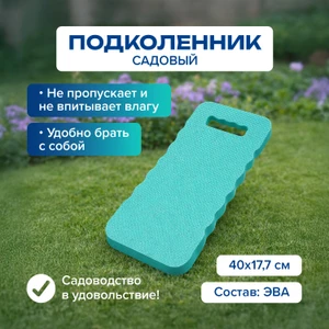 Подколенник садовый, GreenArt, 40 см, в ассортименте