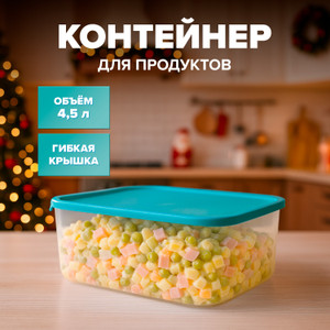 Контейнер для продуктов, Sugar&Spice, 4,5 л, в ассортименте