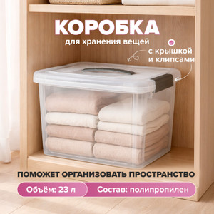Коробка с крышкой и клипсами, 23 л