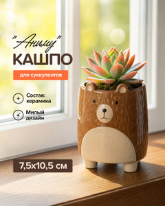 Кашпо для суккулентов "Аниму", в ассортименте