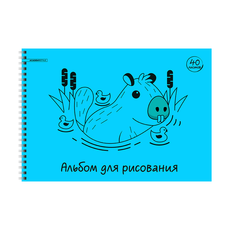 Альбом для рисования, 40 листов, пластиковая обложка, на спирали, в ассортименте