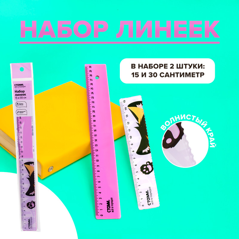 Набор линеек, СТАММ, 2 шт., в ассортименте