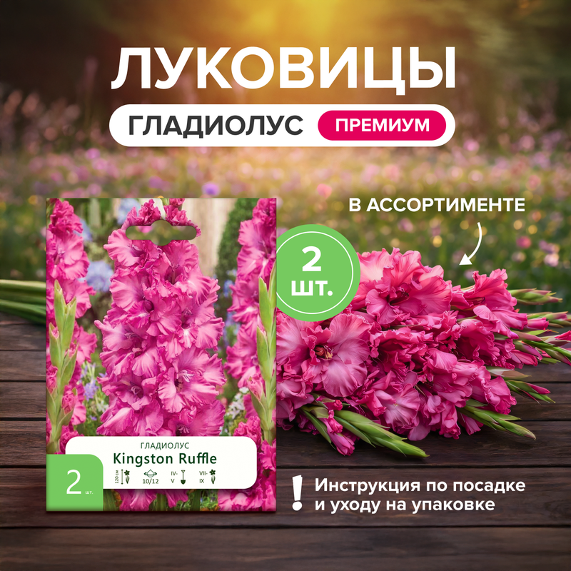 Луковицы "Гладиолус", Петрофлора, 2 шт., в ассортименте