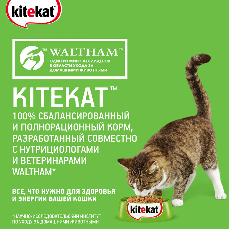 Корм для кошек "Мясной пир", Kitekat, сухой, 350 г