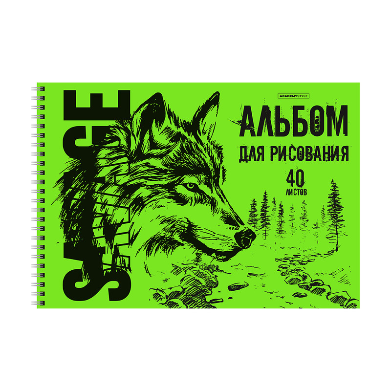 Альбом для рисования, 40 листов, пластиковая обложка, на спирали, в ассортименте