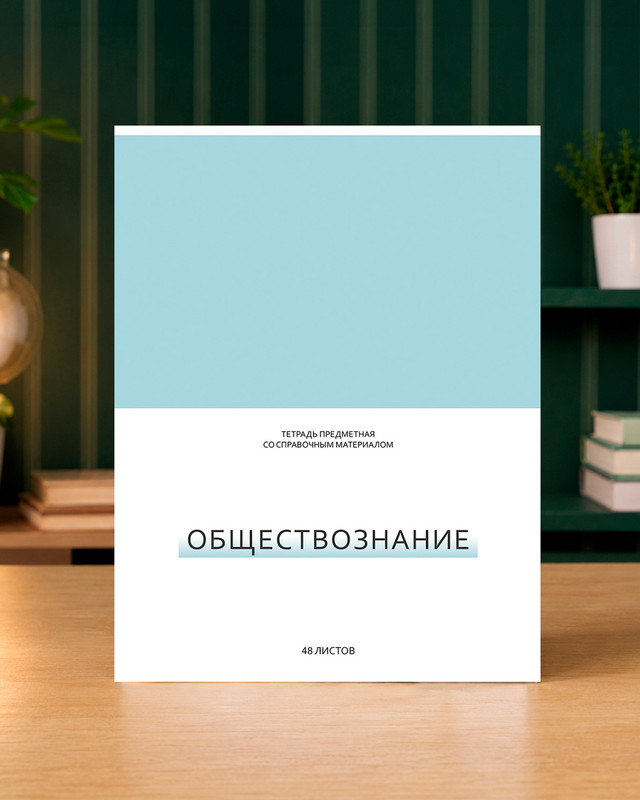 Тетрадь предметная со справочным материалом, 48 листов, пластиковая обложка, в ассортименте