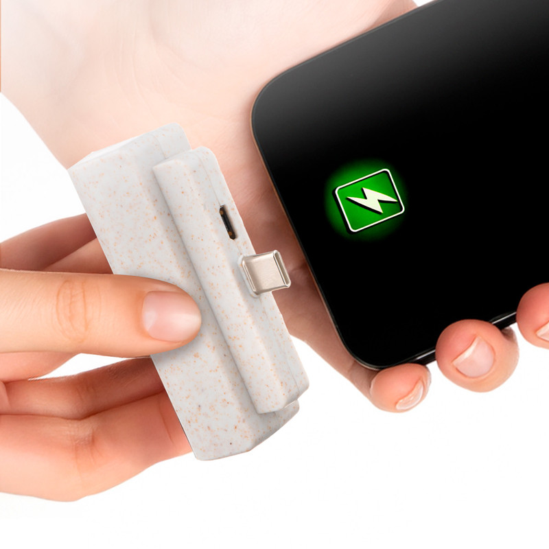 Портативное зарядное устройство с кабелем USB, FLARX, в ассортименте