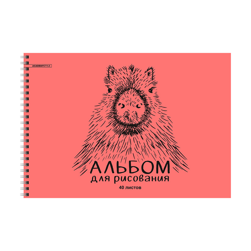 Альбом для рисования, 40 листов, пластиковая обложка, на спирали, в ассортименте